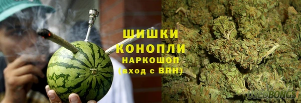 крисы Алзамай
