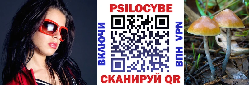 Псилоцибиновые грибы MAGIC MUSHROOMS  мега tor  Питкяранта 